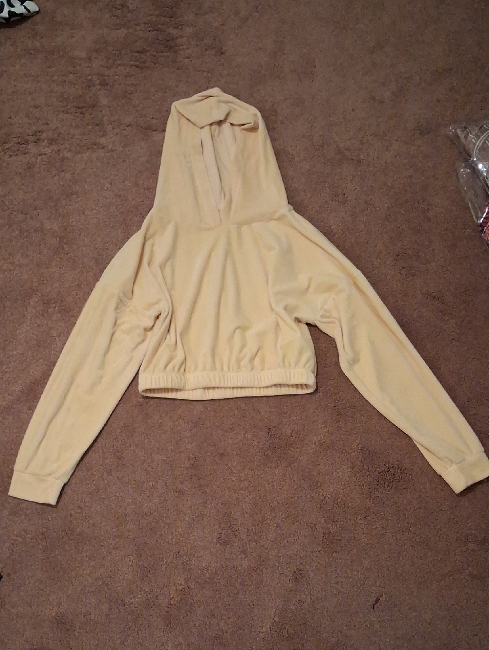 iris Cropped Hooded Sweatshirt in Pale Peach